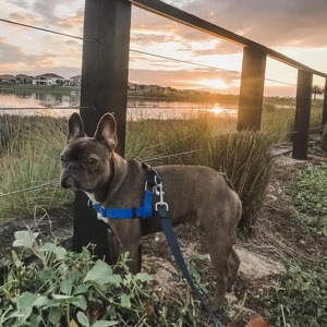 Fundraising Page: Sarah Smotherman